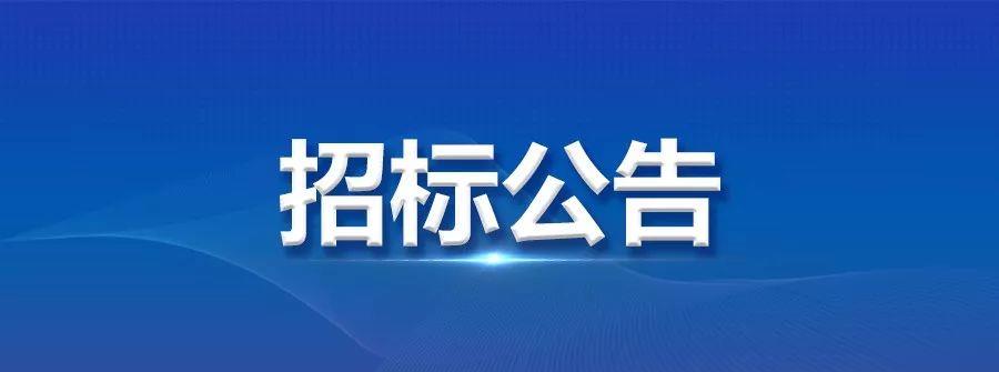 龍電華鑫集團自動(dòng)線(xiàn)招標公告